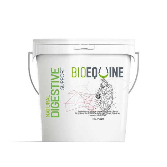 BioEquine Natural Digestive Support 2 kg pail